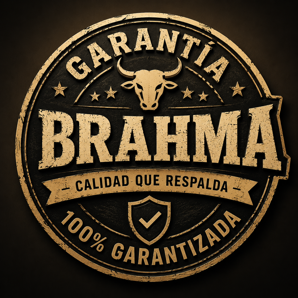 2 MESES DE GARANTÍA